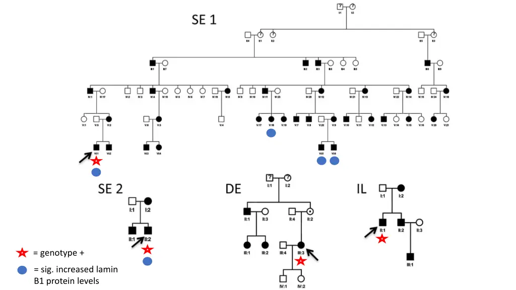 genotype