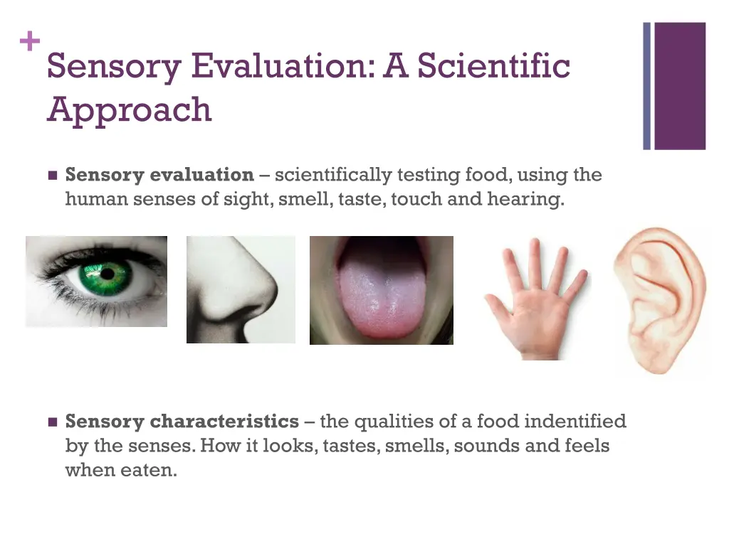 sensory evaluation a scientific approach