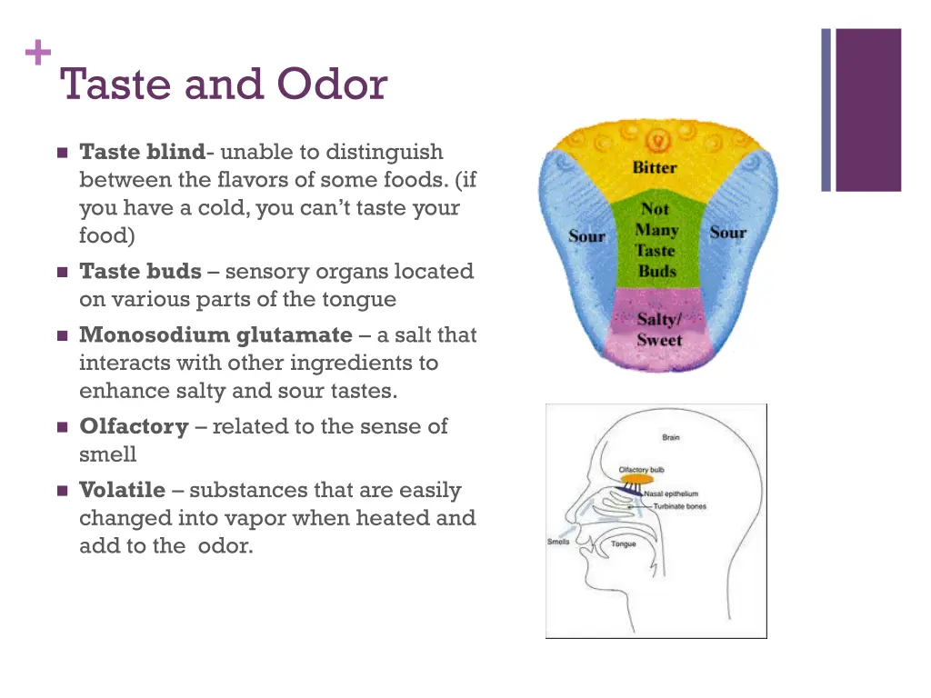 taste and odor