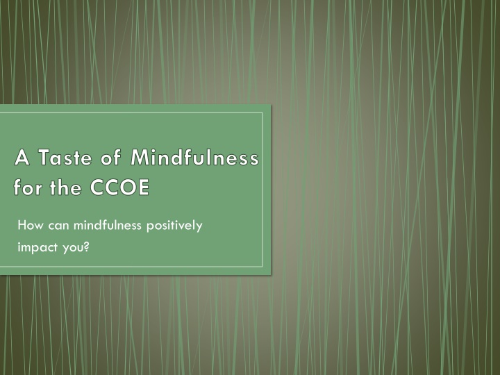 a taste of mindfulness for the ccoe