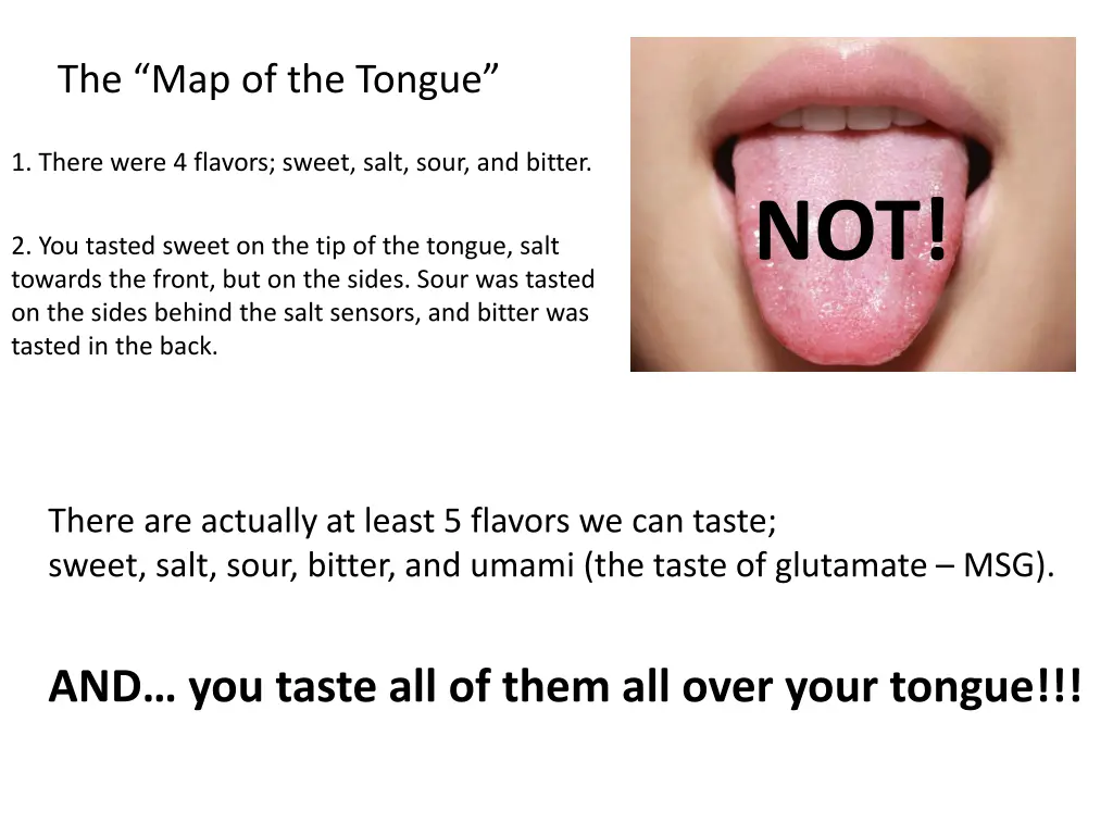 the map of the tongue