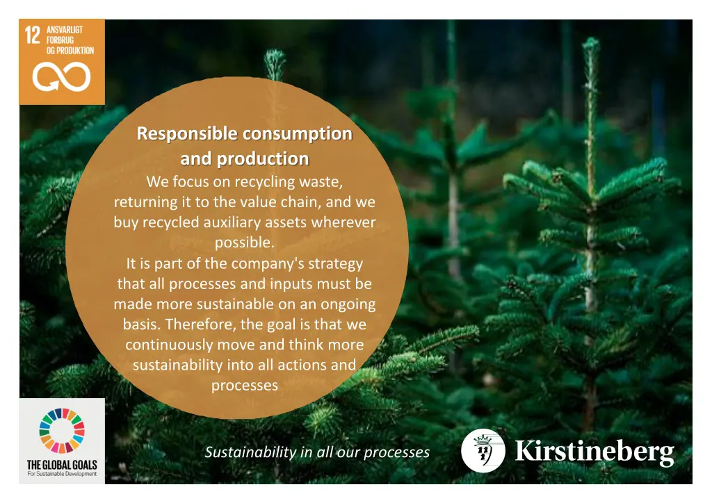 responsible consumption and production we focus