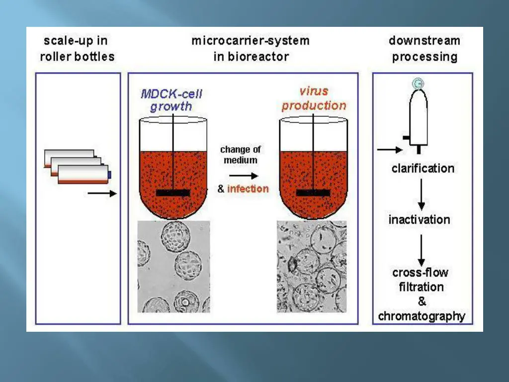 slide21