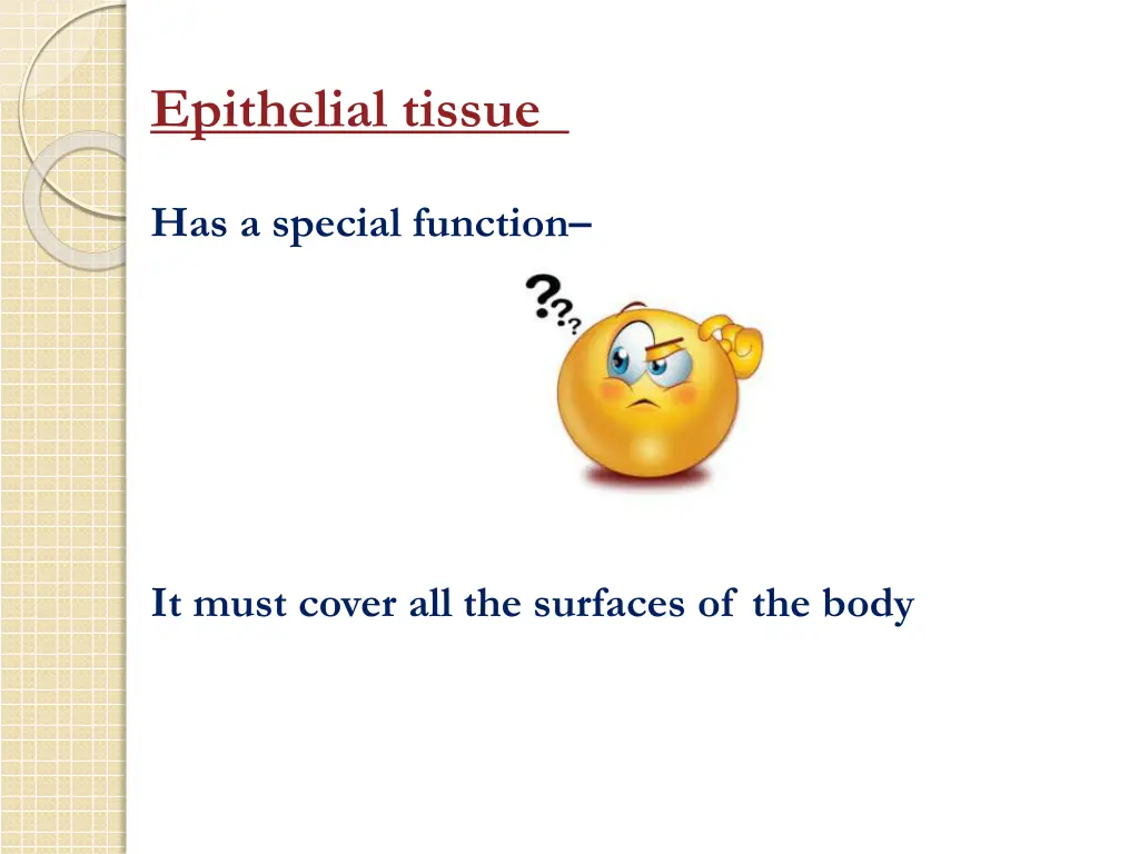 epithelial tissue 2