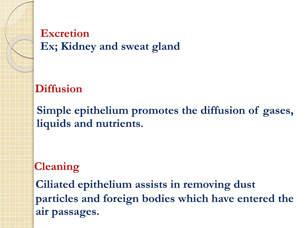 excretion ex kidney and sweat gland