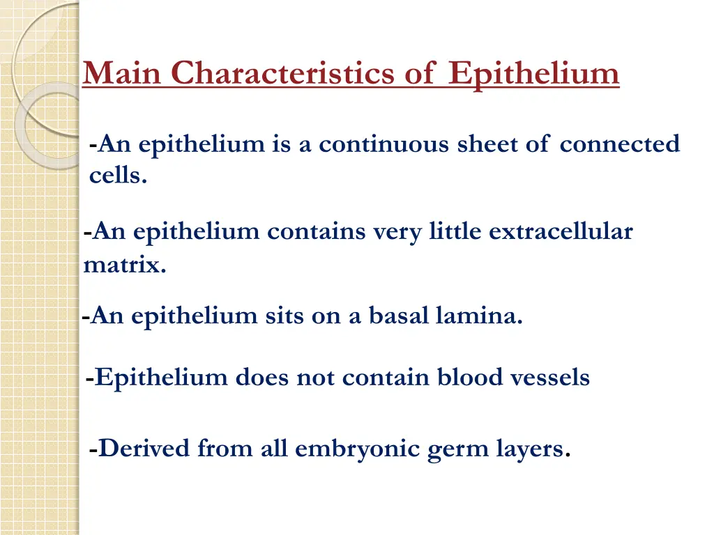 main characteristics of epithelium