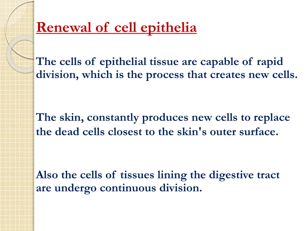 renewal of cell epithelia