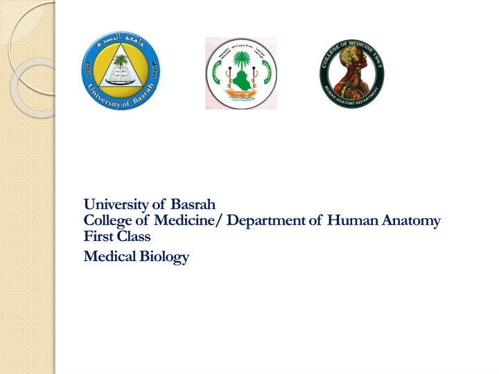 university of basrah college of medicine