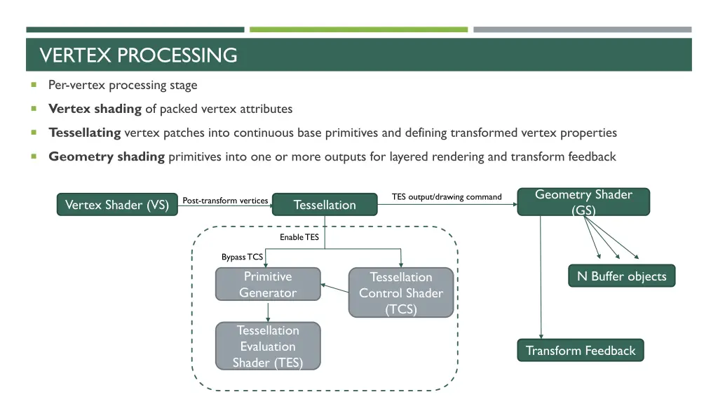 vertex processing