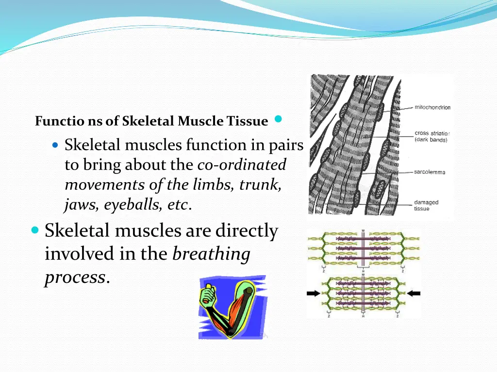 slide13