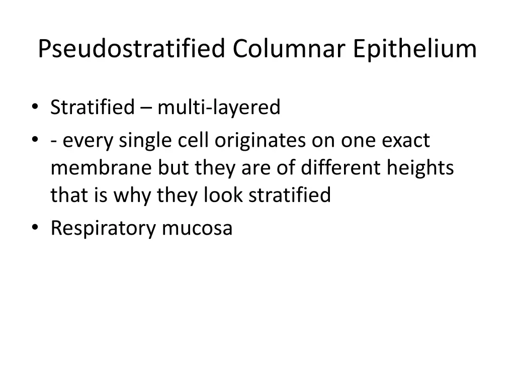 pseudostratified columnar epithelium