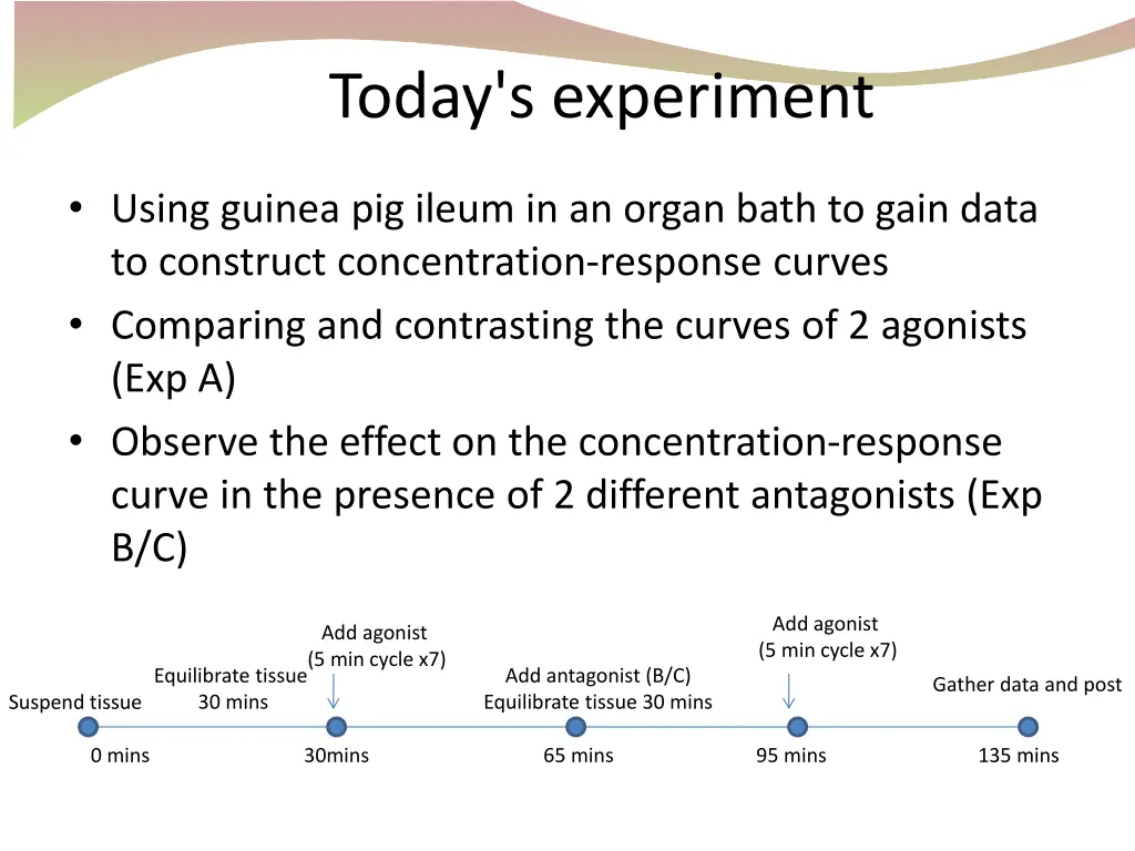 today s experiment