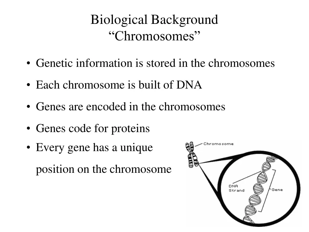 biological background chromosomes