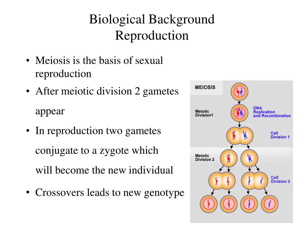 biological background reproduction 1