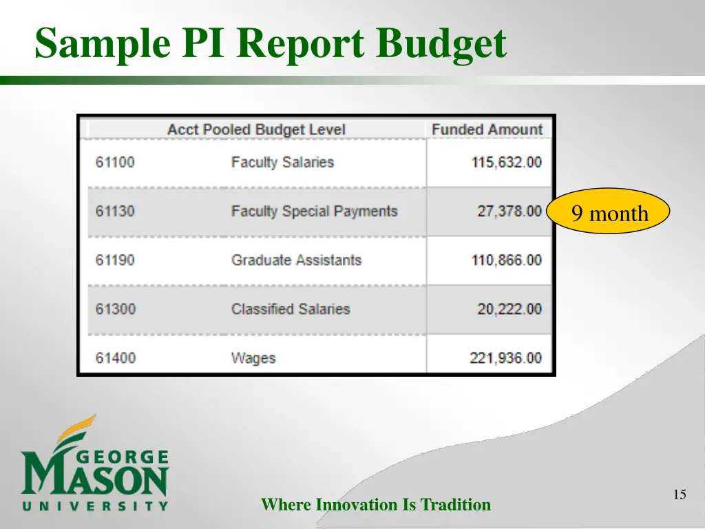 sample pi report budget