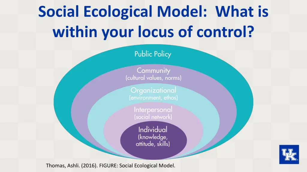 social ecological model what is within your locus