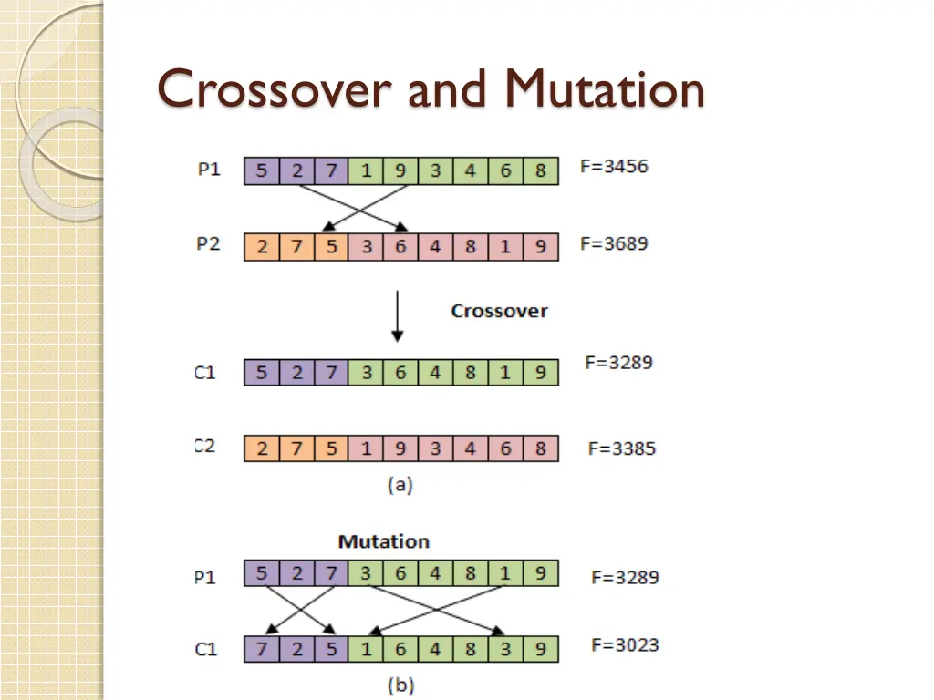 crossover and mutation