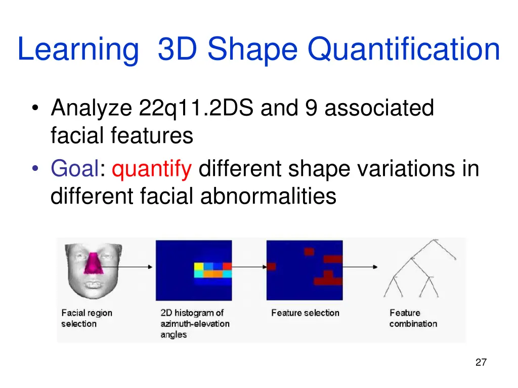 learning 3d shape quantification