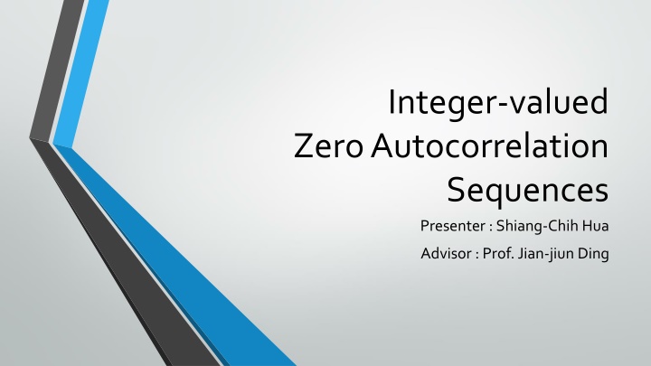 integer valued zero autocorrelation sequences