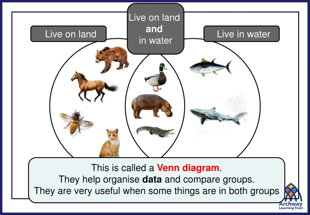 live on land and in water 1