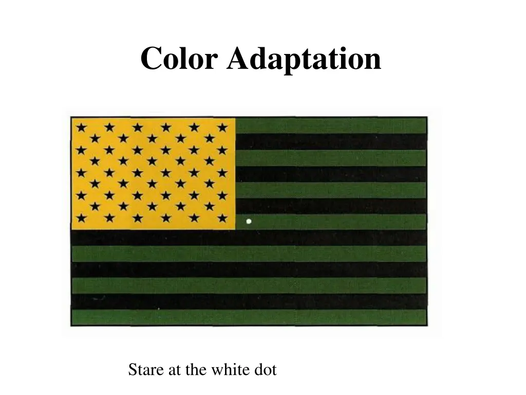 color adaptation