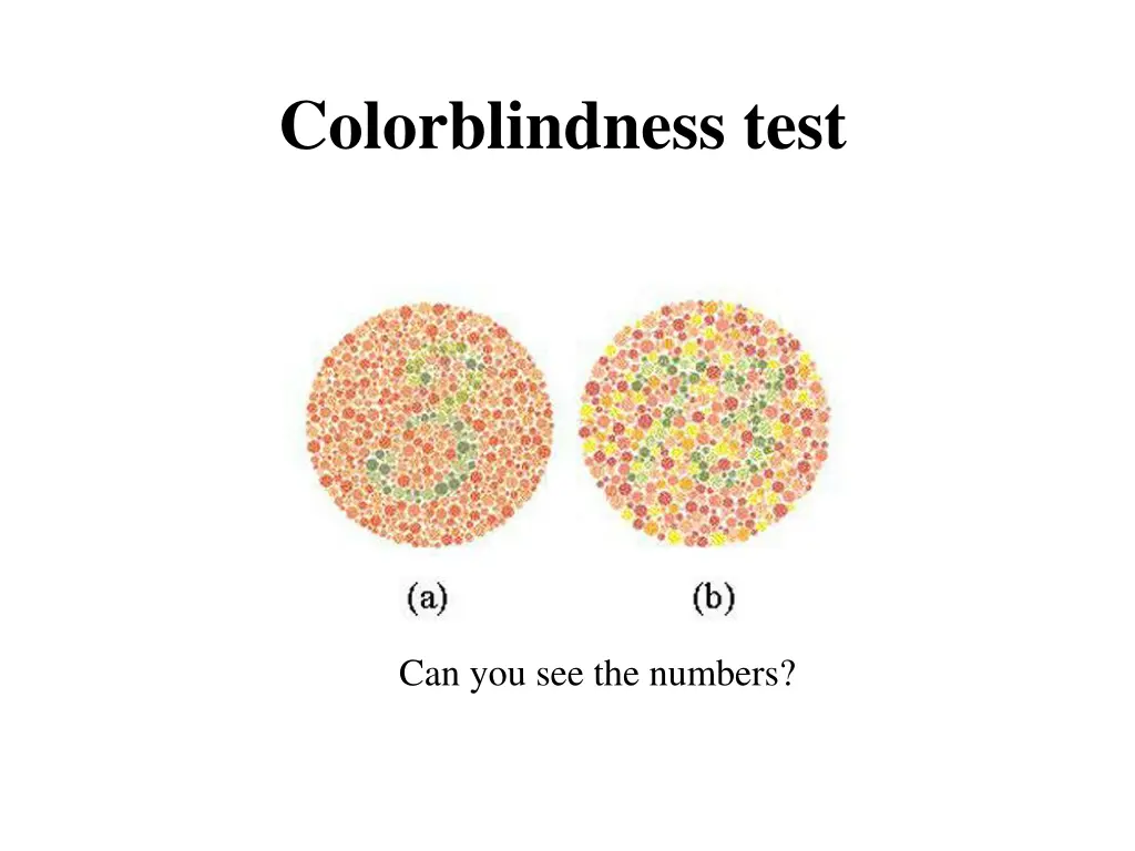 colorblindness test