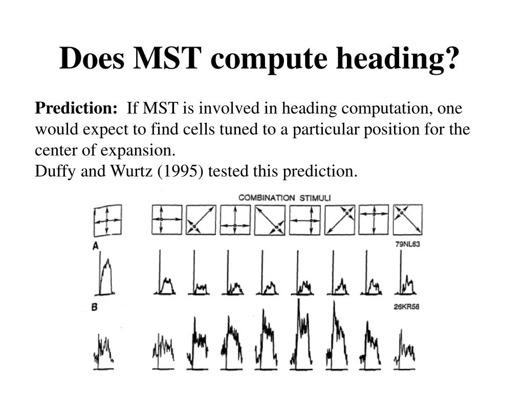 does mst compute heading