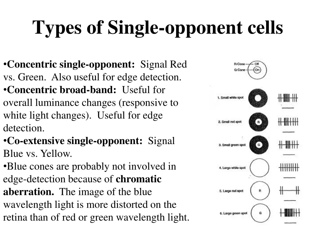 types of single opponent cells