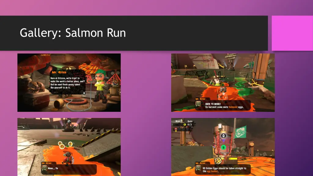 gallery salmon run