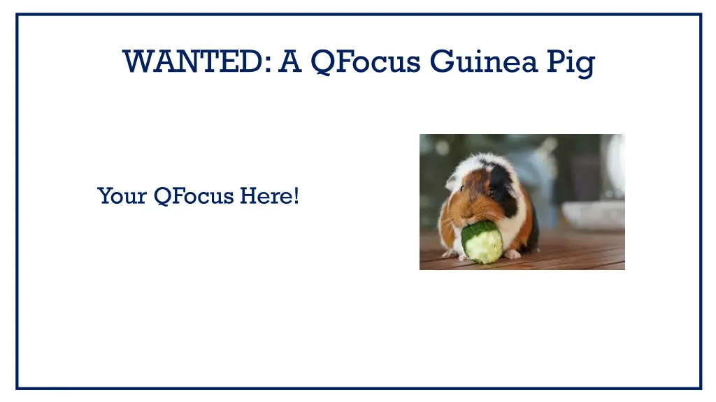 wanted a qfocus guinea pig