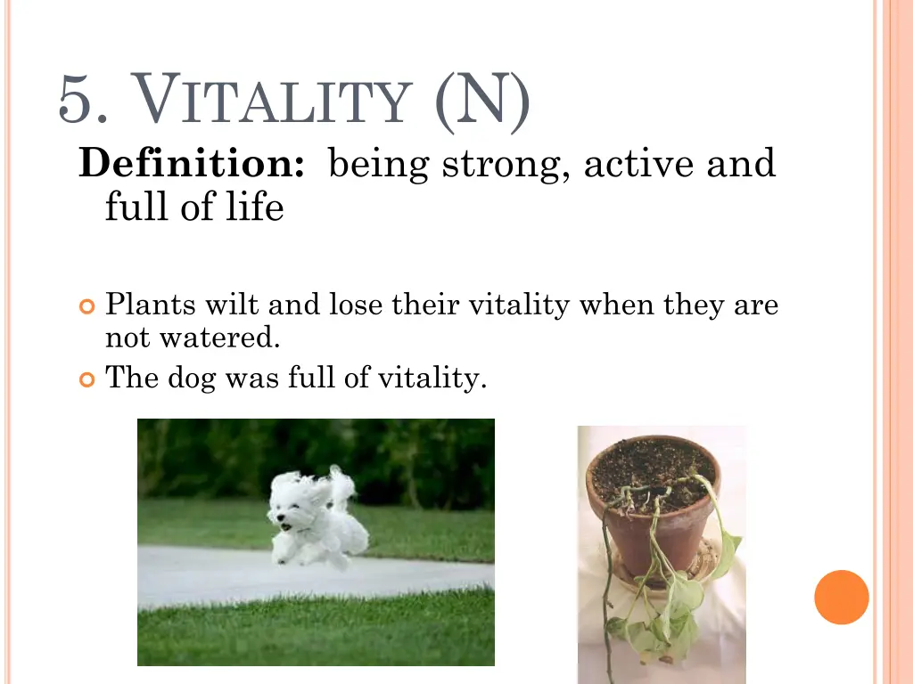 5 v itality n definition being strong active