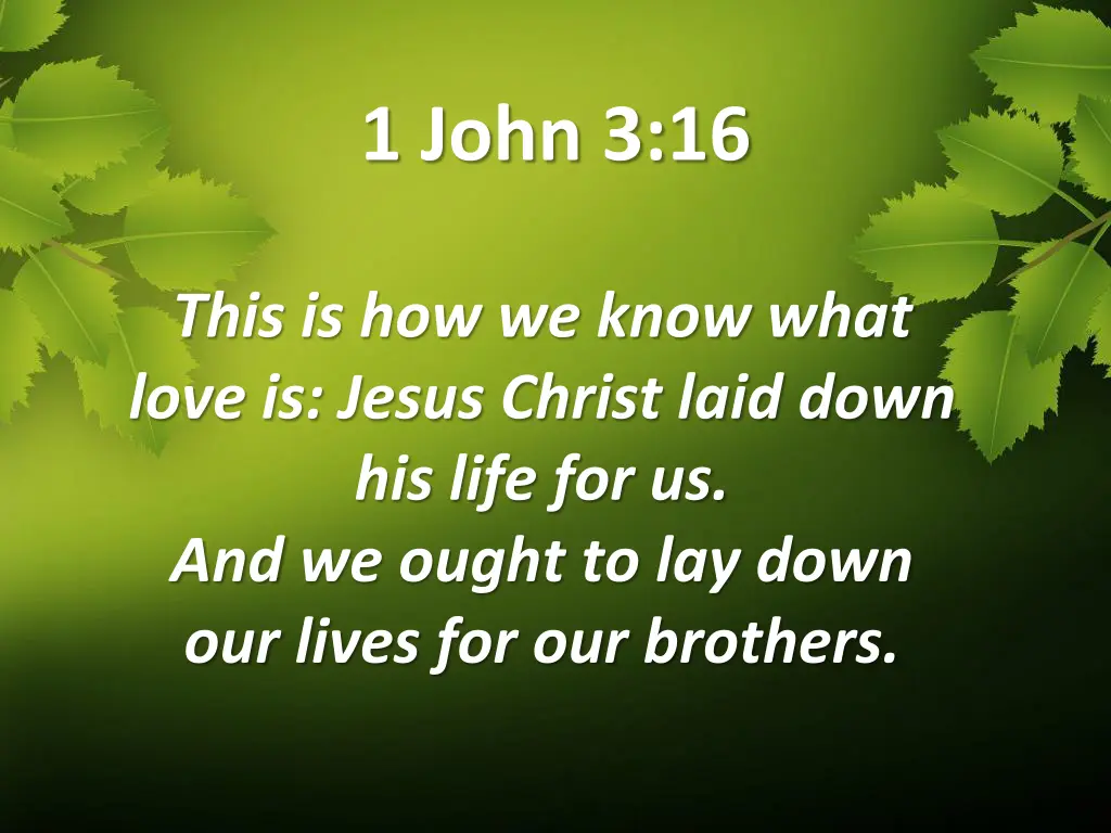 1 john 3 16