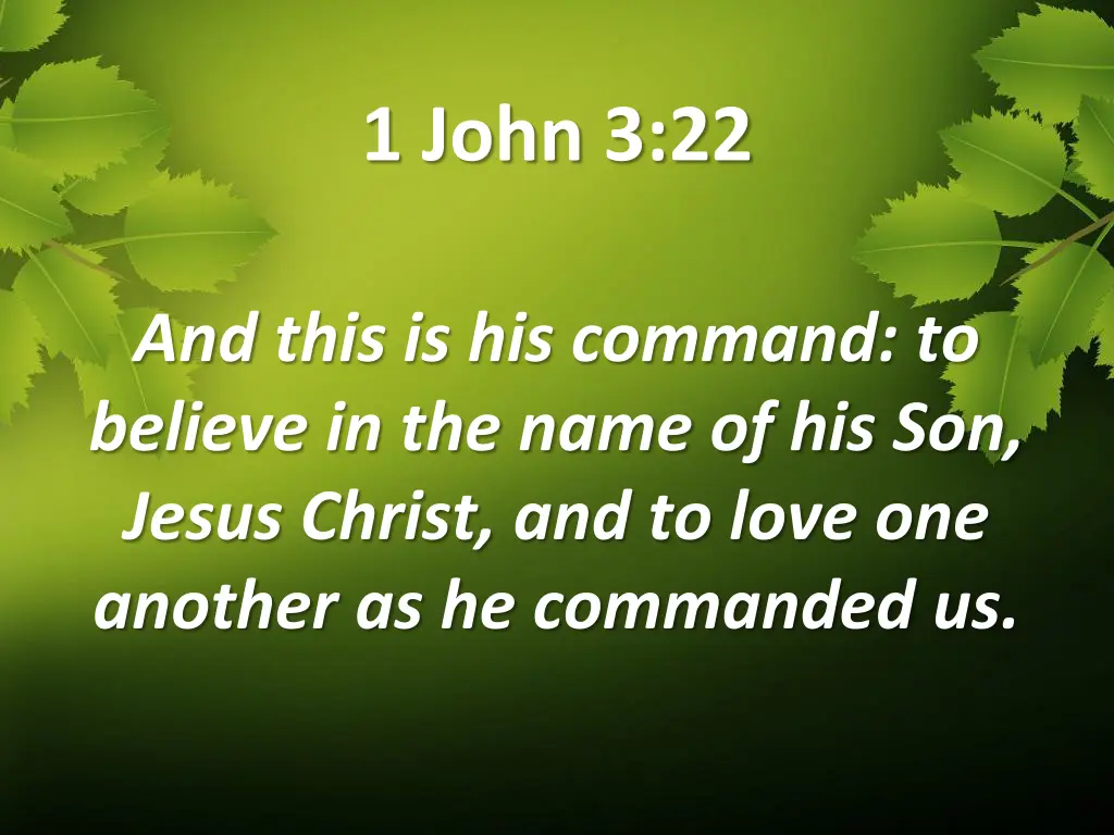 1 john 3 22