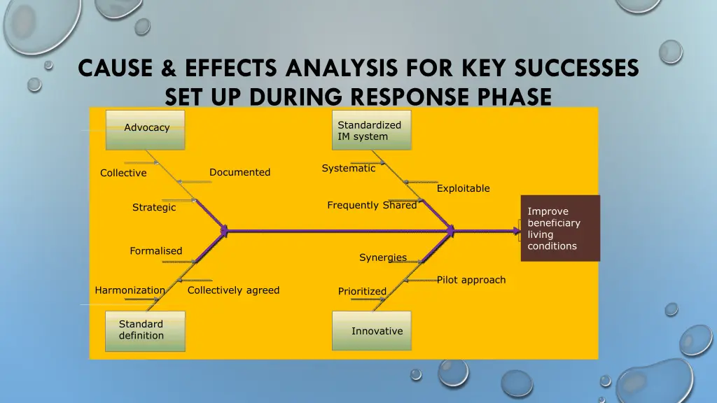 cause effects analysis for key successes