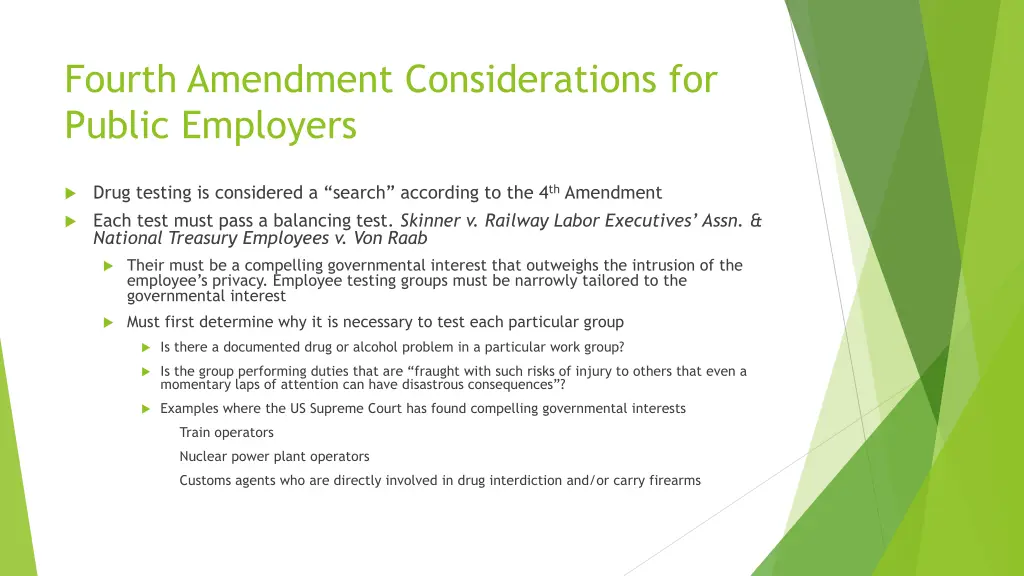 fourth amendment considerations for public