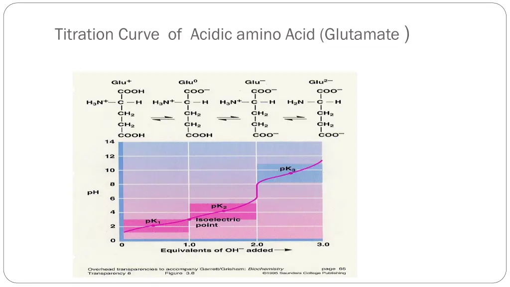 titration curve of acidic amino acid glutamate