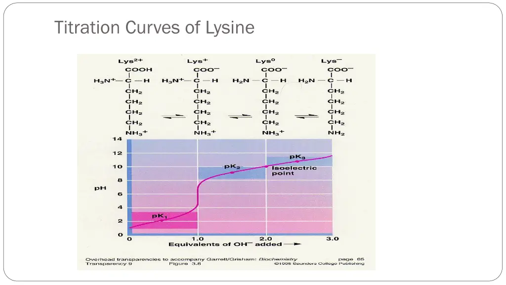 titration curves of lysine