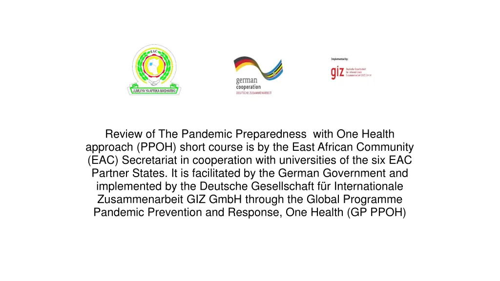 review of the pandemic preparedness with