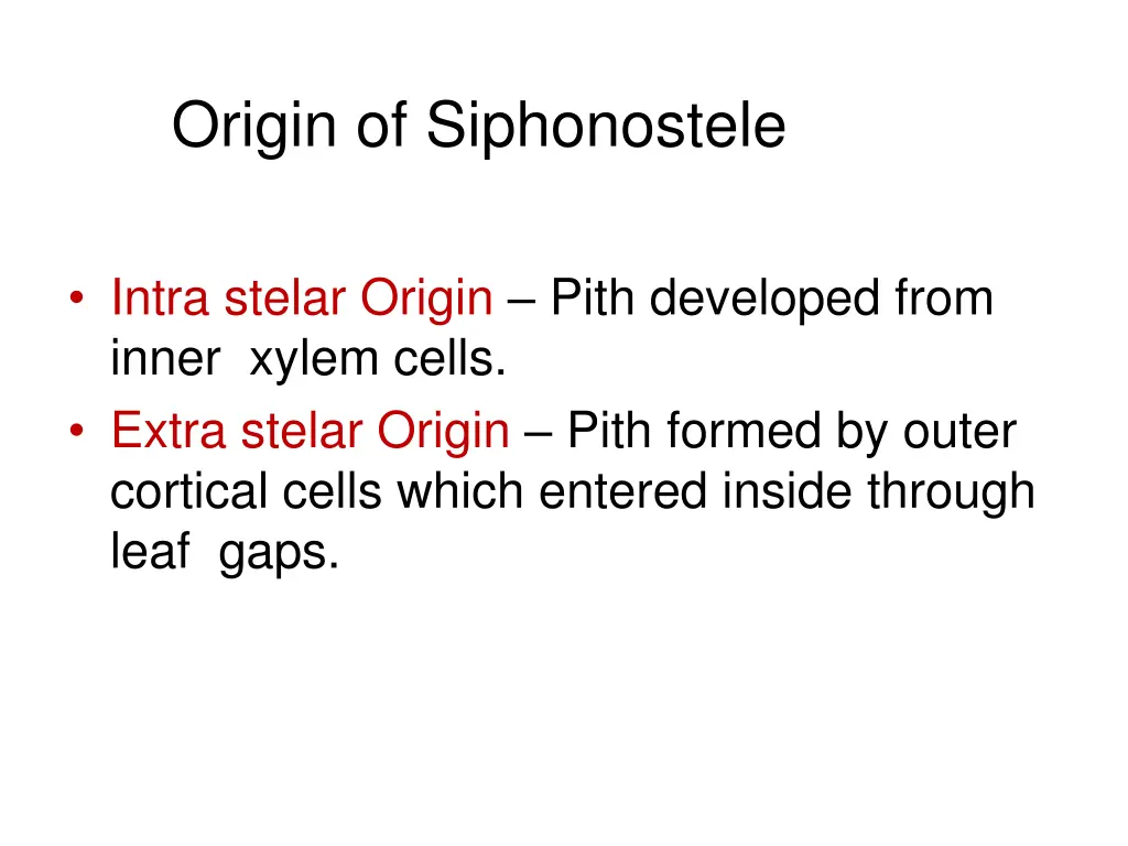 origin of siphonostele