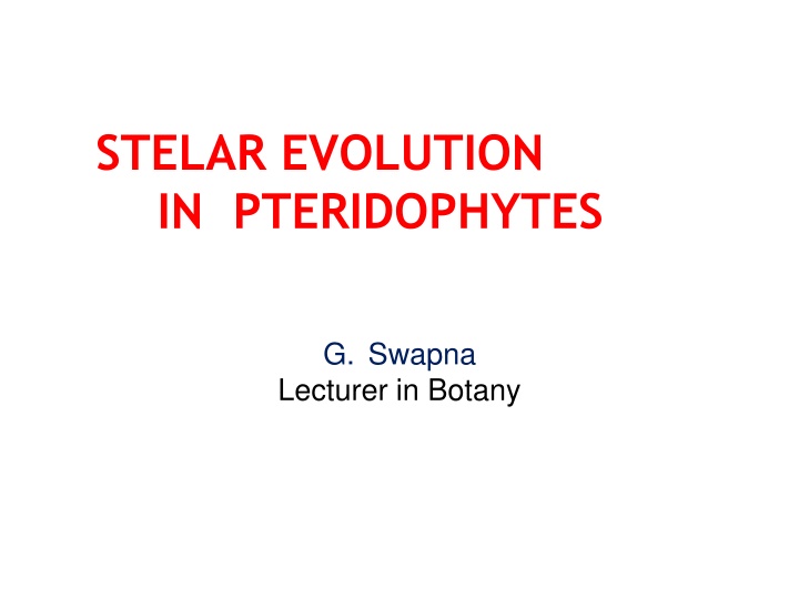 stelar evolution in pteridophytes