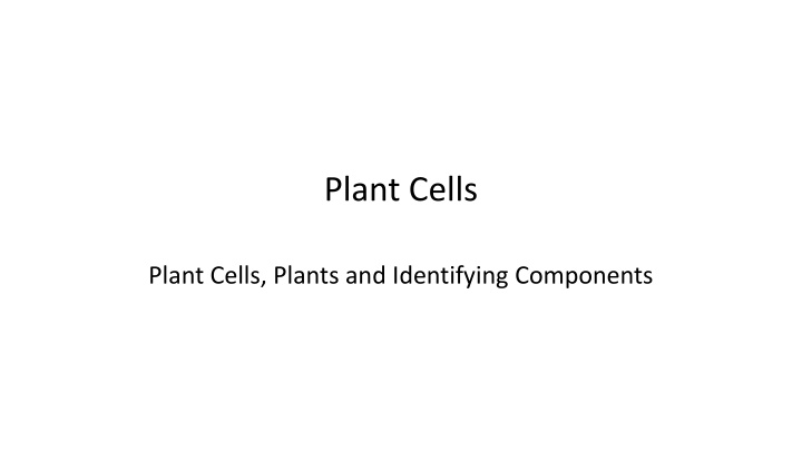 plant cells