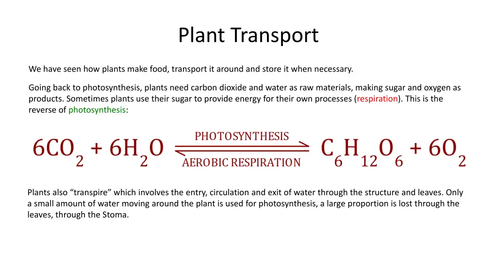 plant transport 4