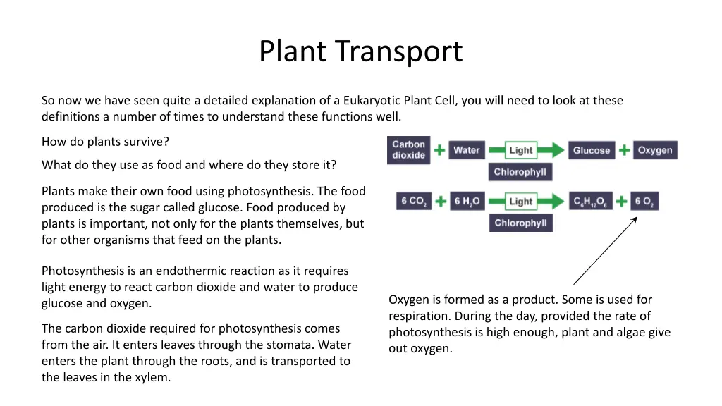 plant transport