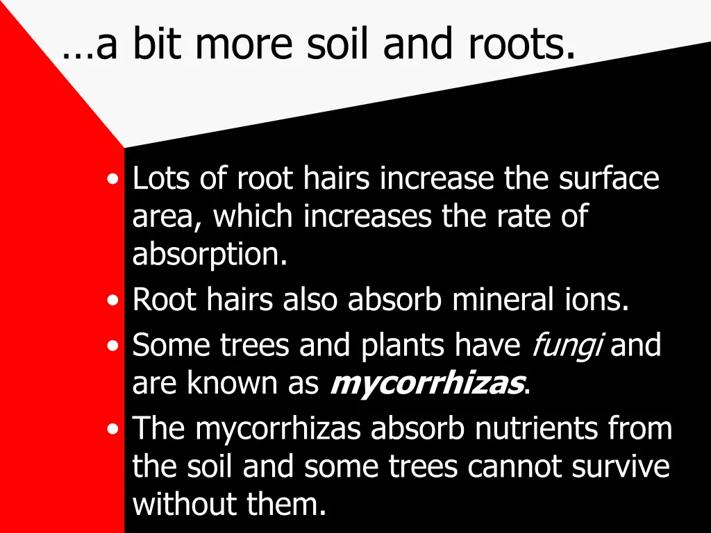 a bit more soil and roots