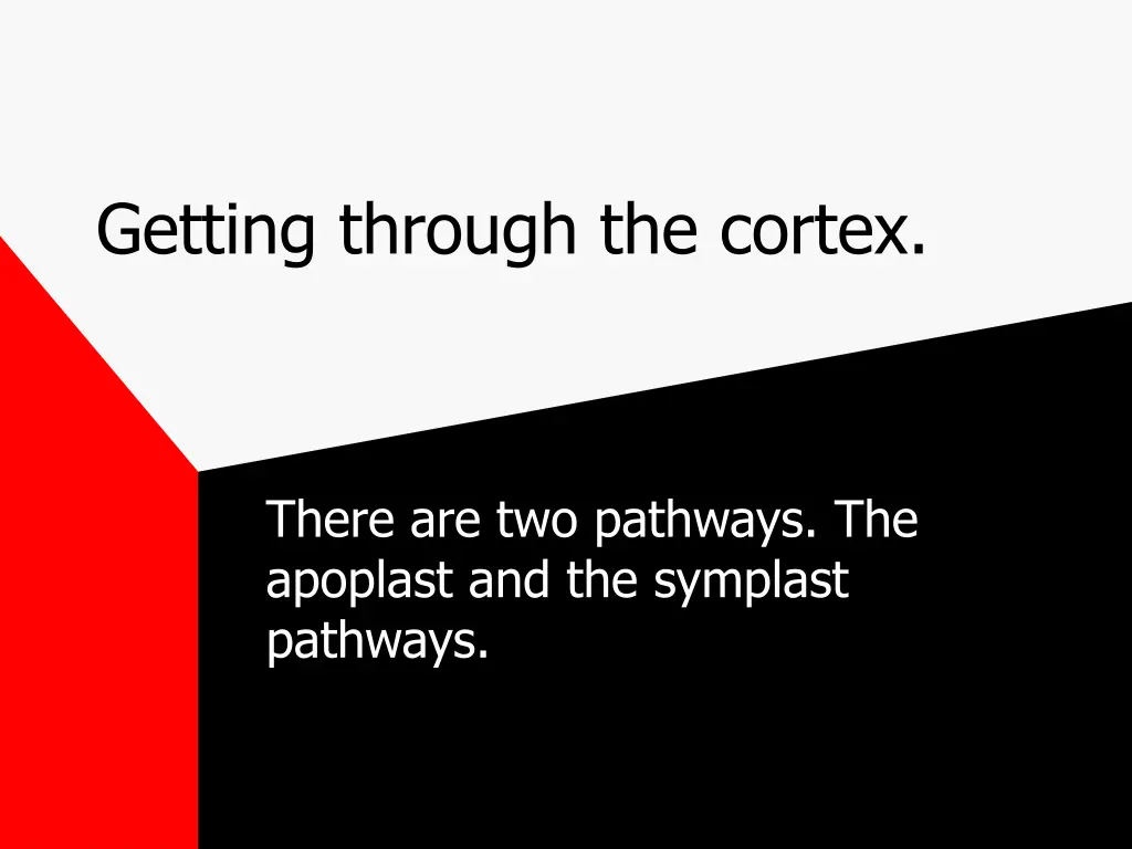 getting through the cortex