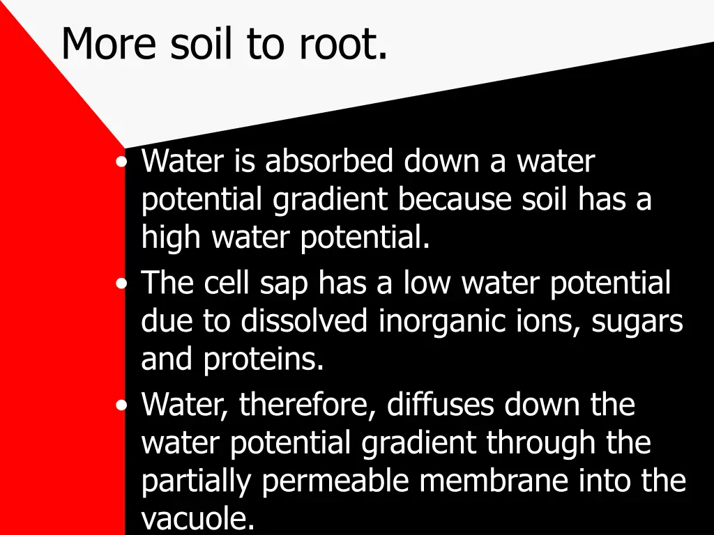 more soil to root