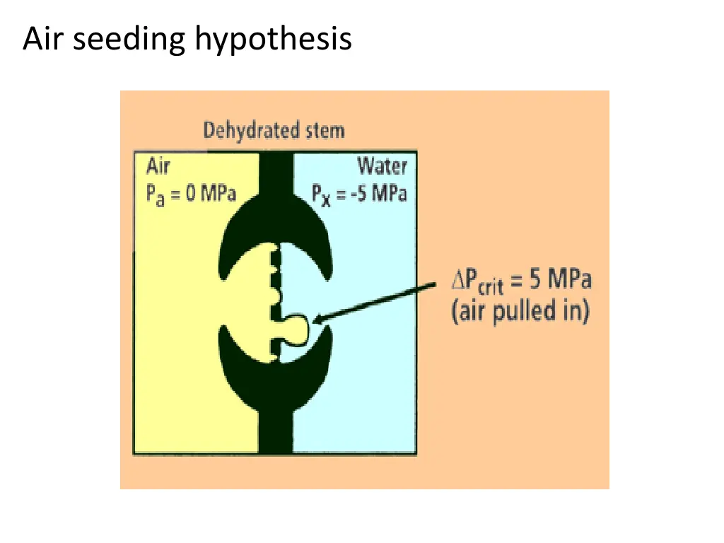 air seeding hypothesis 1