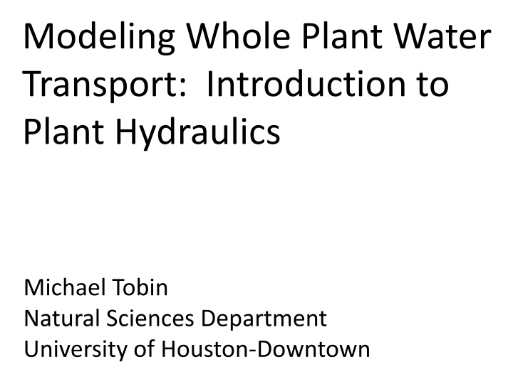 modeling whole plant water transport introduction