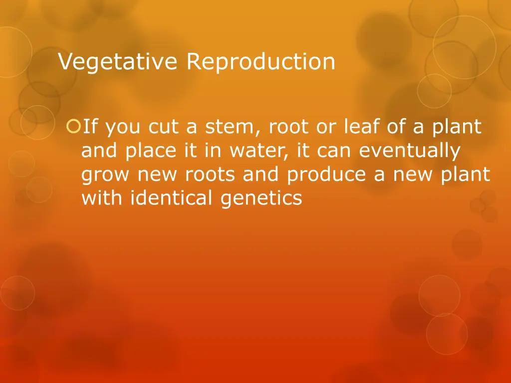 vegetative reproduction 1