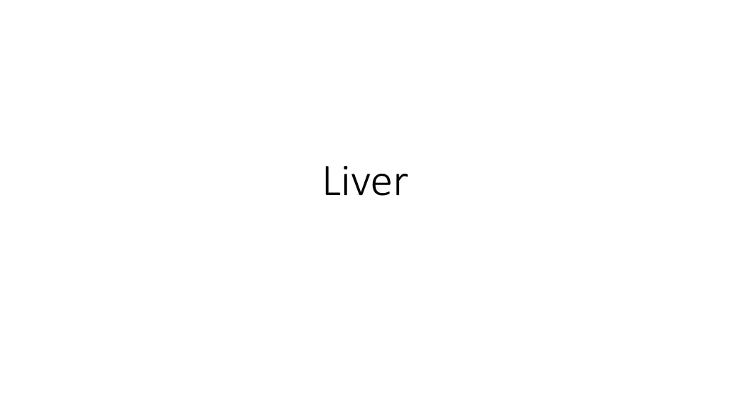 liver